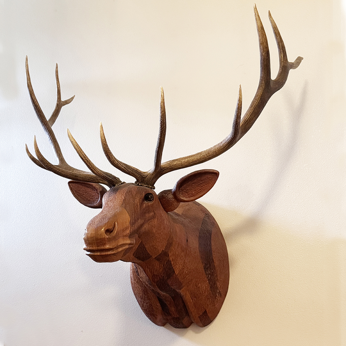 Elk trophy head