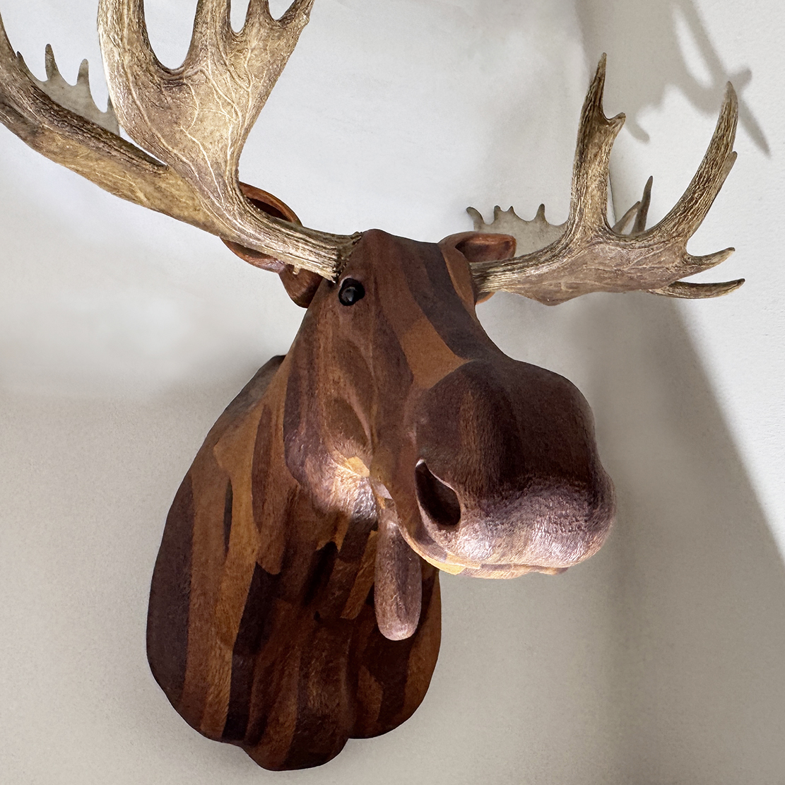 Keith's first moose and first carving