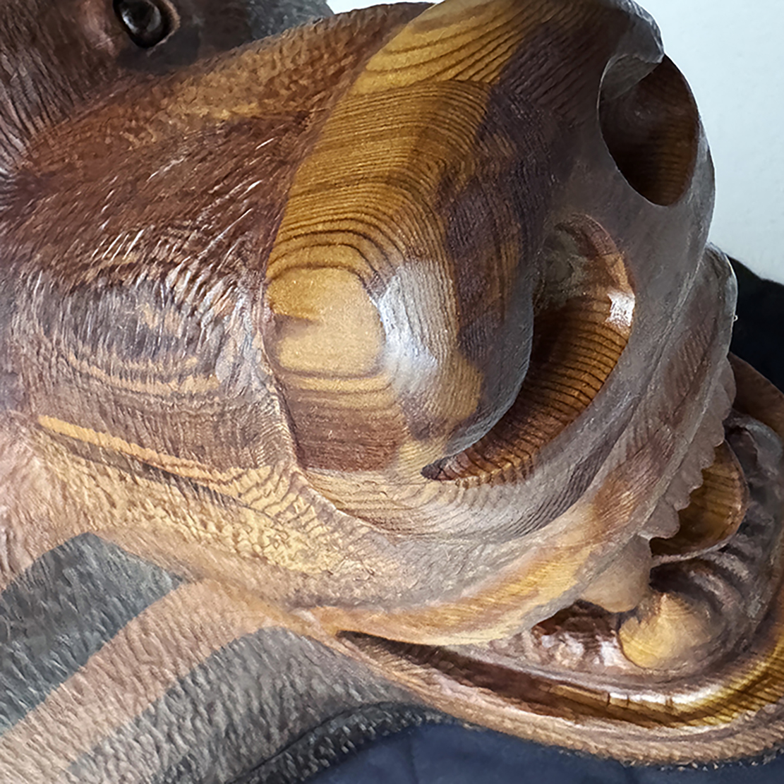 close up of bear rug face