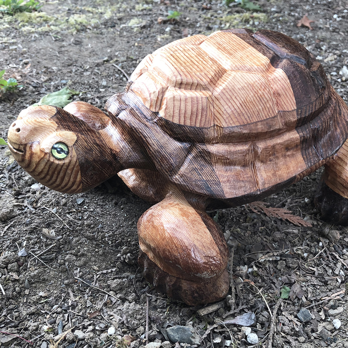 carved turtle out in habitat